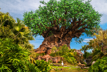 animal kingdom